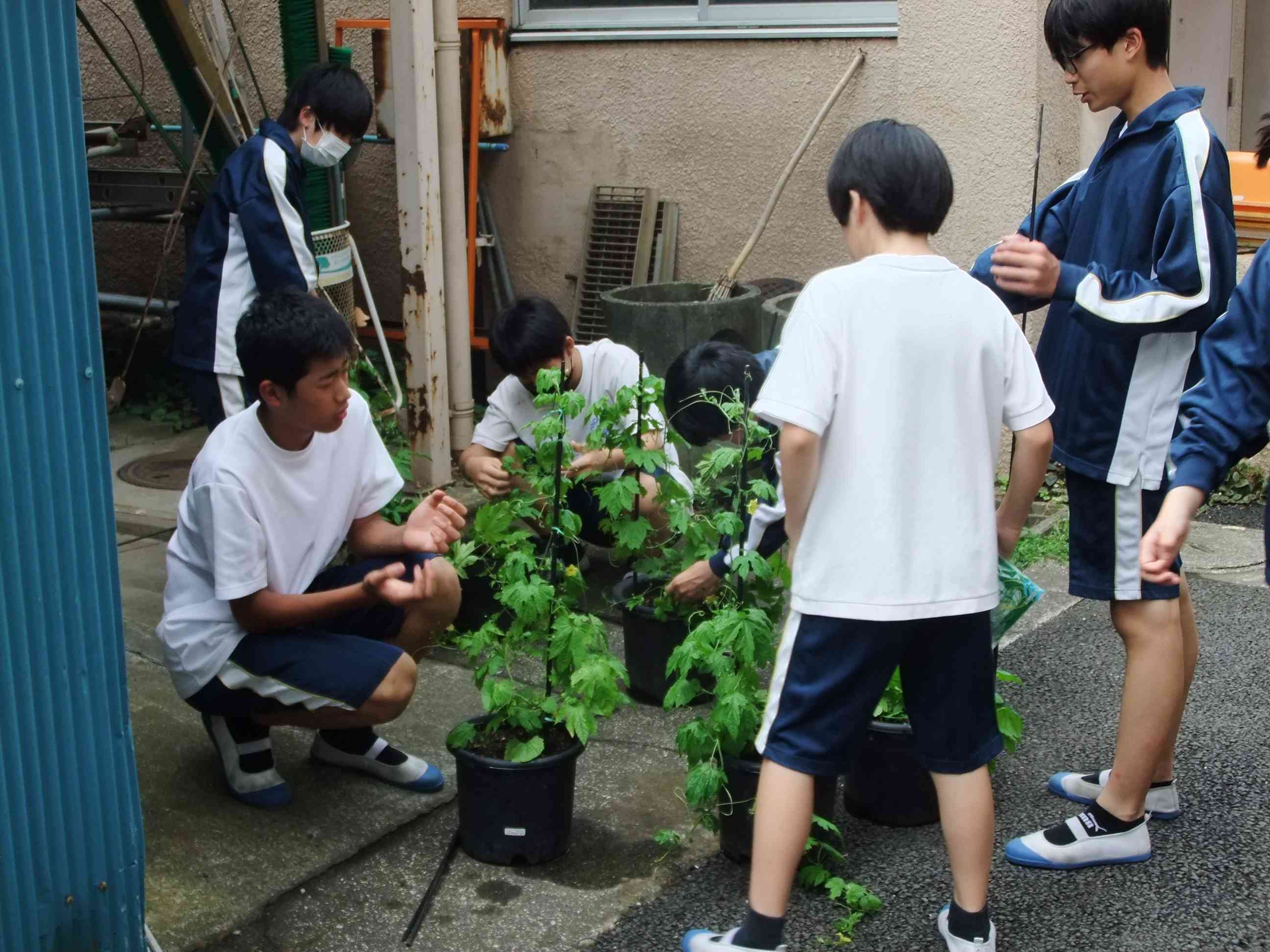 DSCF8909